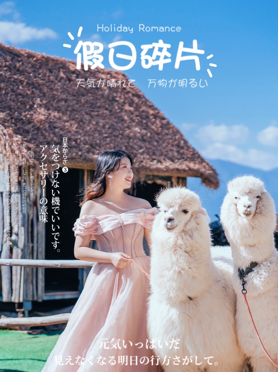 流苏